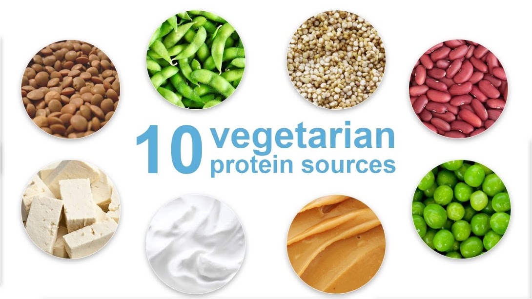 nguon thuc pham giau protein 1